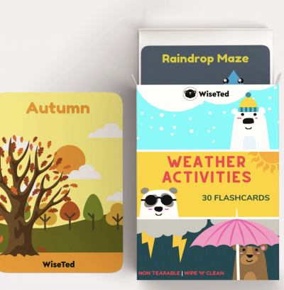 Weather Activities - Flash Cards